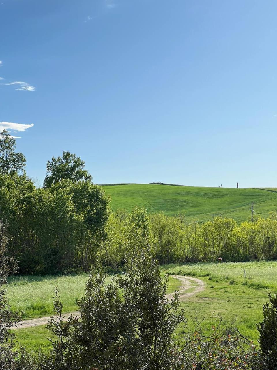 Apartamento L'Olivo Maritato Siena Exterior foto